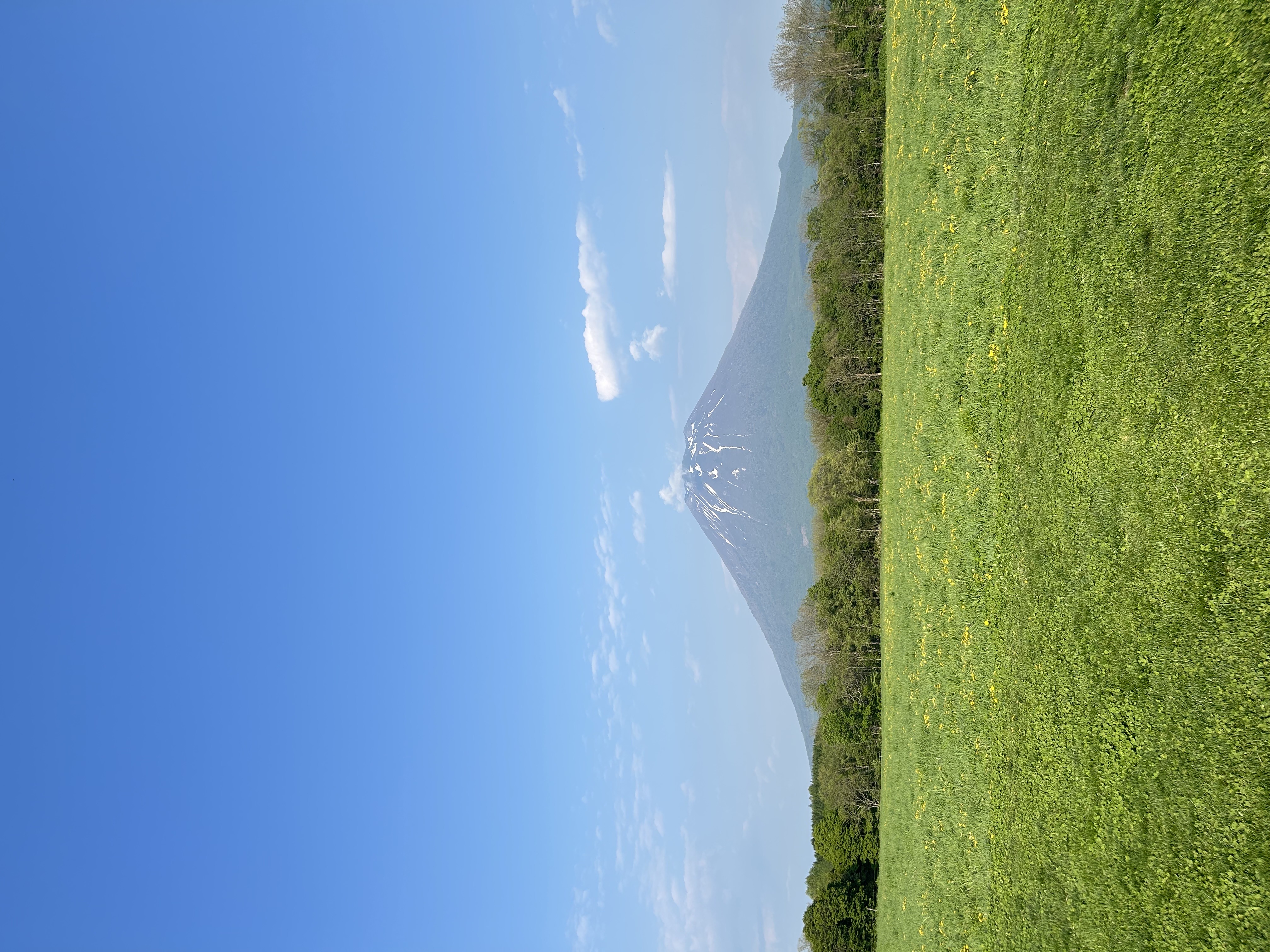 mt yotei